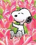 pic for SNOOPY AND FREINDS